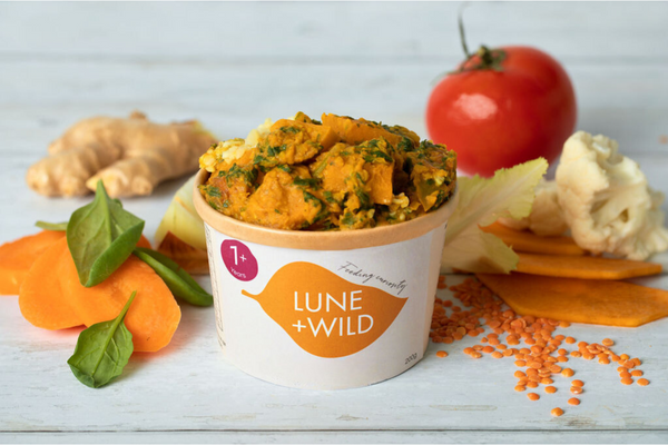 Mild Veggie & Coconut Curry