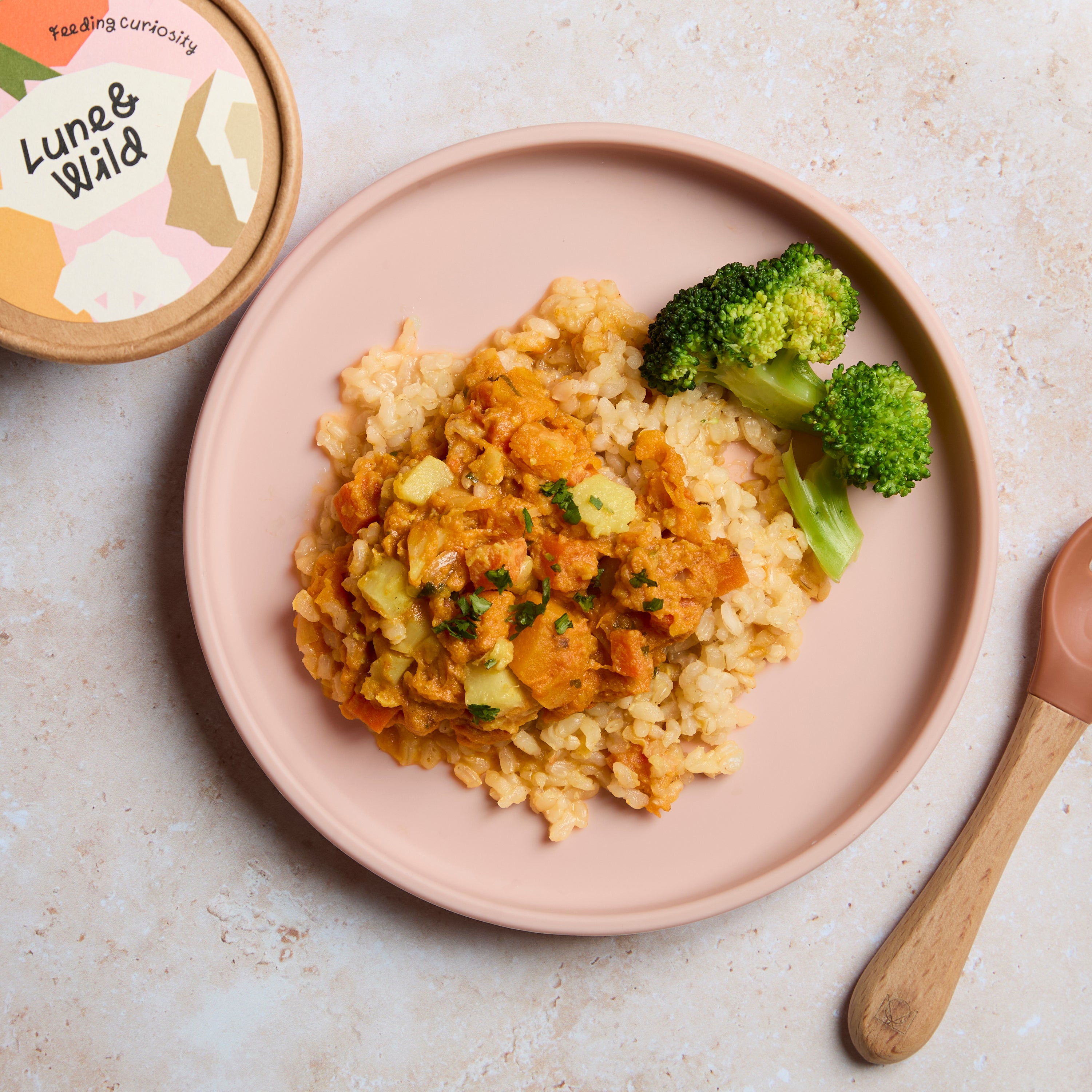 Mild Veggie & Coconut Curry