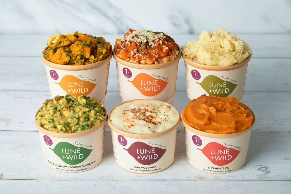 Toddler Meal Pot Bundle