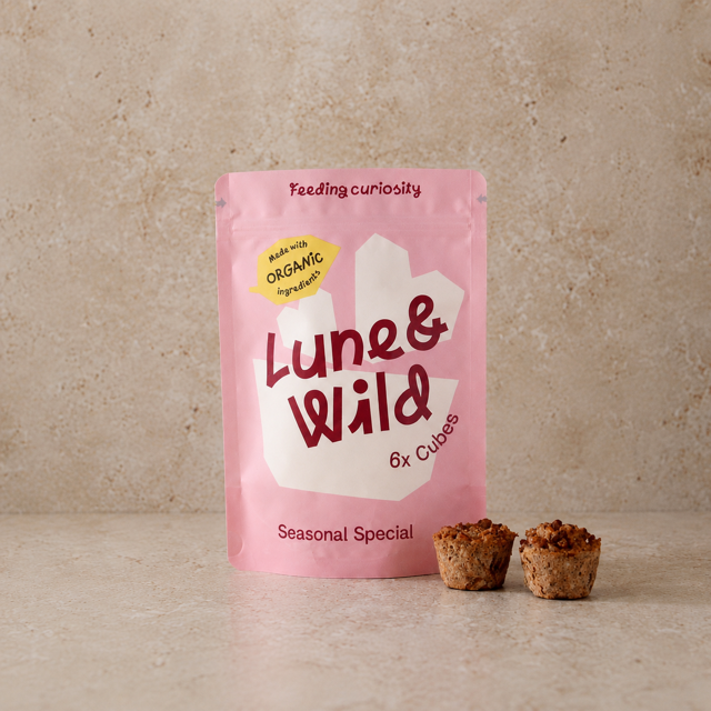 Chilli Con Carne Bites