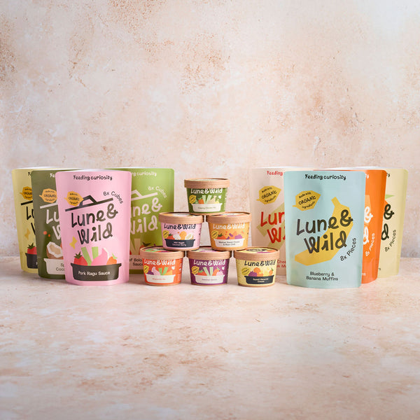 Kids Meals & Snacks Bundle