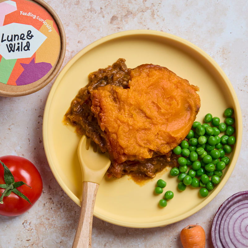 Kids Meals & Snacks Bundle (Dairy-free)