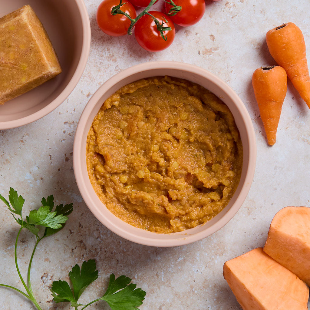 Sweet Potato Tagine 9 Months+ (x6)