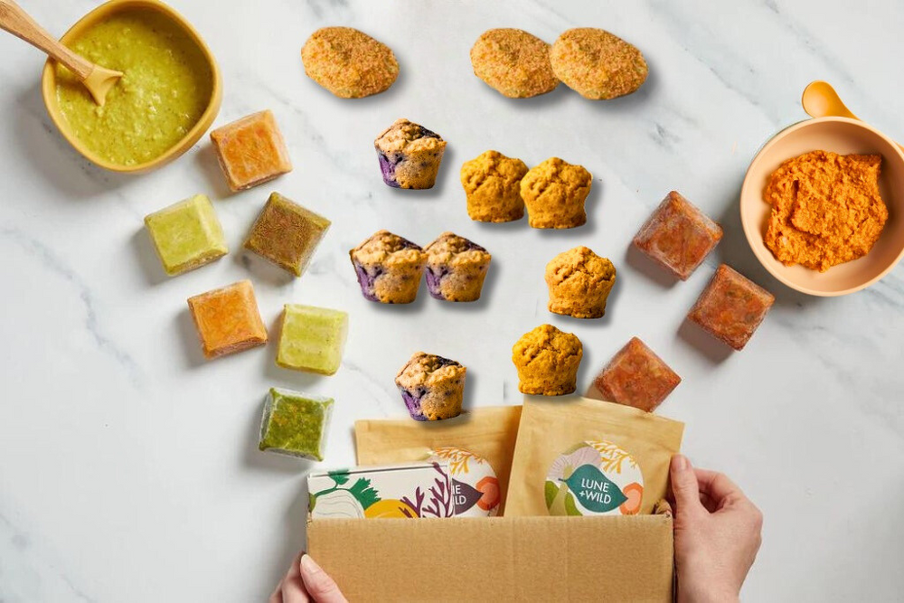 Baby-Led Weaning & Purée Bundle (7 Months+)